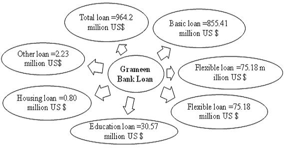 The amount of different types of Grameen Bank Loan