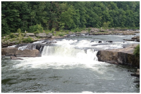 Ohiopyle Falls of Youghiogheny River in Pennsylvania, US