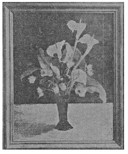 흰꽃(1931)