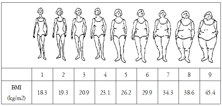 Stunkard Figure Rating Scale에 BMI(체질량지수)를 연합한 Bulik 등의 체형분류 기준