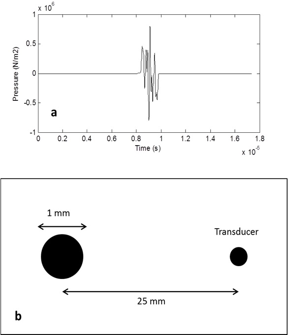 Thermoacoustic signal from a 1-mm diameter fat sphere (a) and its simulation setup (b).