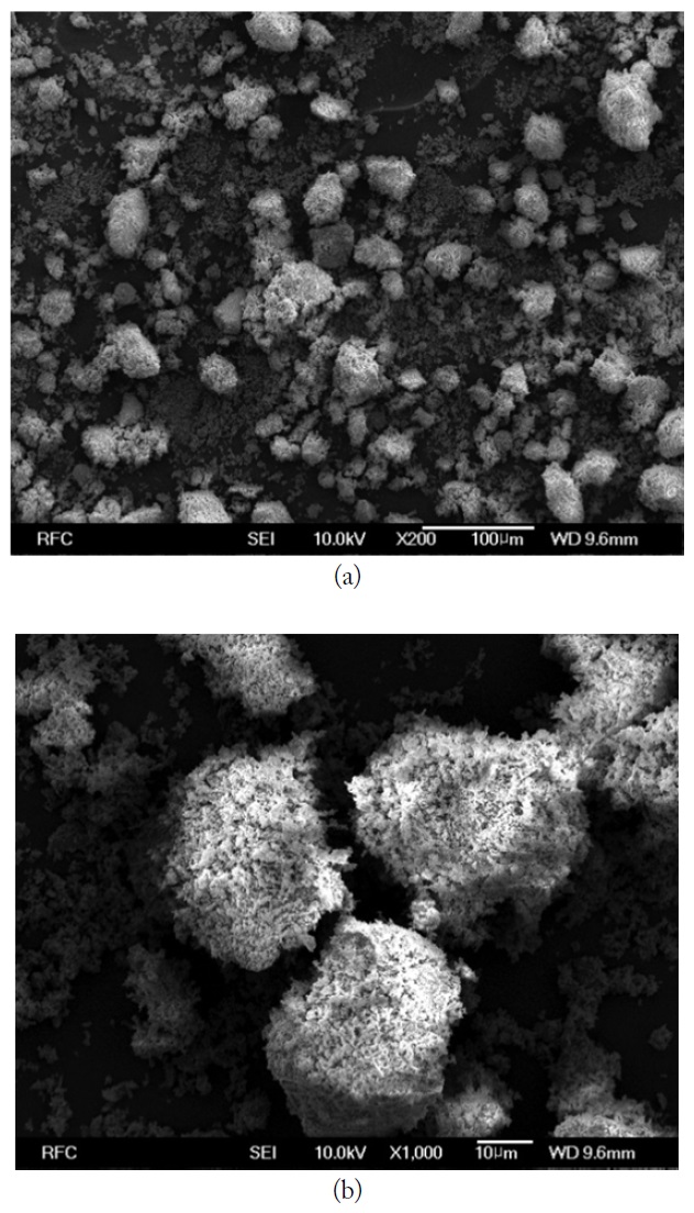 SEM images of Fe2O3 particles: (a) ×200, (b) ×1,000.