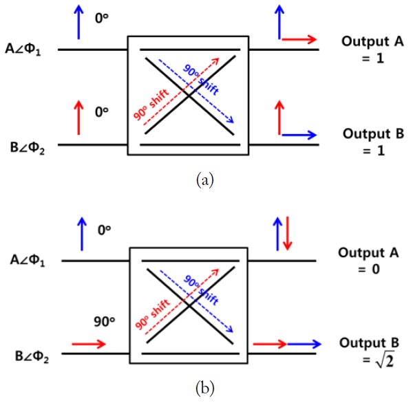Voltage change at the output because of the phase difference of a 3-dB coupler. (a) Equal voltage output and (b) amplified voltage output.