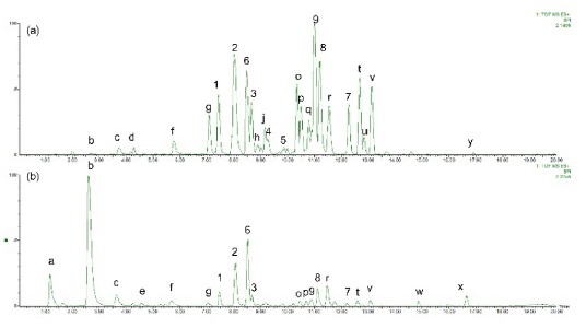 Base peak intensity chromatograms of alkaloid-rich fractions of (a) Ziziphus jujuba roots and (b) Z. jujuba var. spinosa seeds.