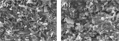 SEM images of (a) Fir wood biochar and (b) Kelp seaweed biochar produced by pyrolysis.