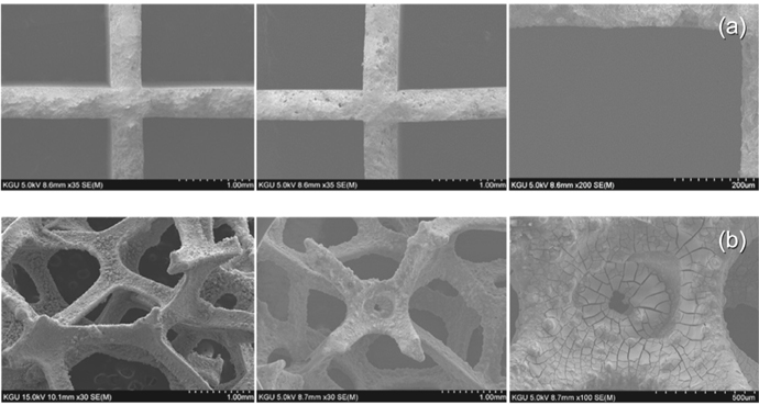 SEM photographs of (a) honeycomb (b) metal foam views of the TiO2 photocatalyst film on the substrate.