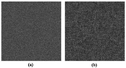 Simulation results of decryption for a DRPE system with the key phase mask updating scheme when the key is updated with a wrong first phase mask in decryption: (a) 2nd decrypted image and (b) incorrectly updated key data.
