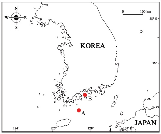 Collecting sites of Protogeton incertus in this study. A, Seodo Port and Geomun Port, Geomundo Island, Yeosu-si; B, Impo Port, Dolsan-eup, Yeosu-si, Korea.