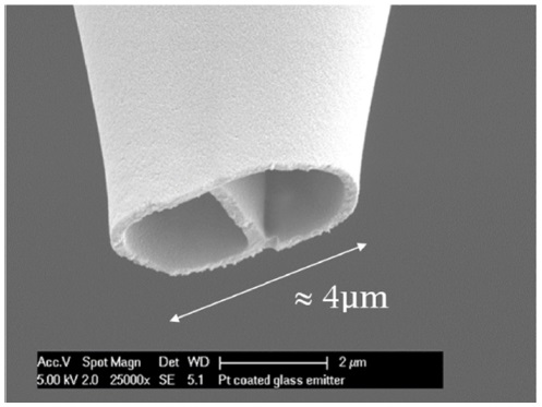 SEM image of theta-shaped dual channel glass
 emitters coated with platinum.