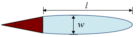 Cavity length(l) and maximum width(w)