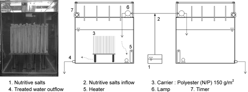 Schematic diagram of the Lake water quality conditions reactor.