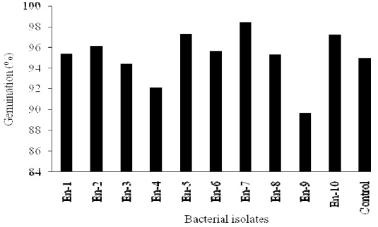 Influence of endophytic bacteria on seed germination.