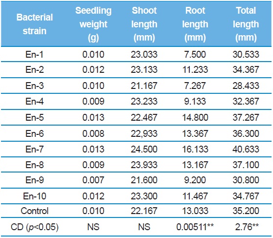 Influence of endophytic bacteria on seedling growth of mulberry
