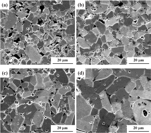 SEM micrographs of the samples sintered at different temperatures: (a) 875℃, (b) 900℃, (c) 925℃, and (d) 950℃.