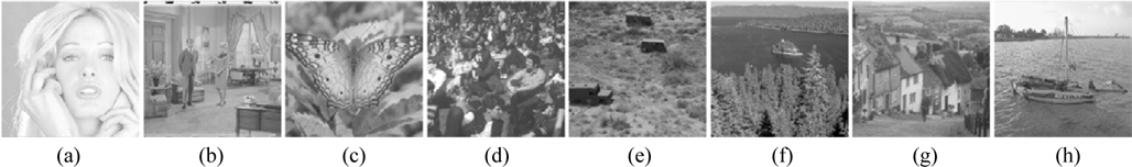 Plaintext images: (a) Girl; (b) Couple; (c) Butterfly; (d) Crowd; (e) Truck; (f) Lake; (g) Goldhill; (h) Boat.