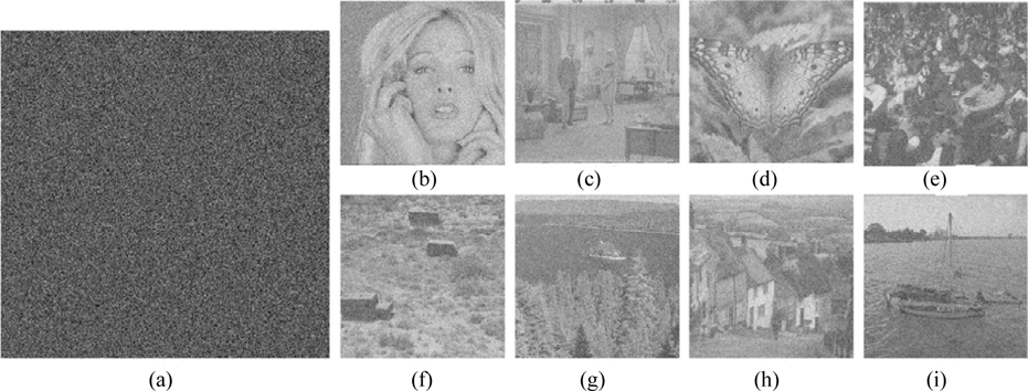Robustness against Gaussian noise: (a) the distorted ciphertext after applying Gaussian noise with mean value 0 and standard deviation 25, (b) decrypted “Girl”, (c) decrypted “Couple”, (d) decrypted “Butterfly”, (e) decrypted “Crowd”, (f) decrypted “Truck”, (g) decrypted “Lake”, (h) decrypted “Goldhill”, and (i) decrypted “Boat”.