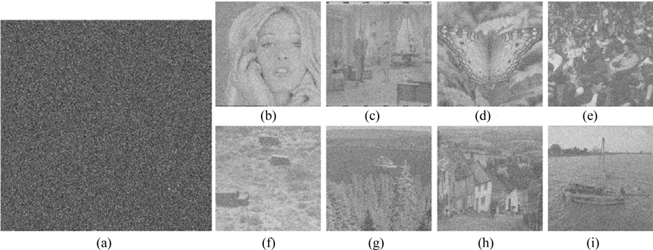 Robustness against salt-and-pepper noise: (a) the distorted ciphertext after adding salt-and-pepper noise with density 0.05, (b) decrypted “Girl”, (c) decrypted “Couple”, (d) decrypted “Butterfly”, (e) decrypted “Crowd”, (f) decrypted “Truck”, (g) decrypted “Lake”, (h) decrypted “Goldhill”, and (i) decrypted “Boat”.