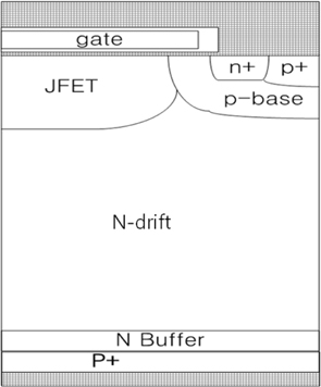 The structure of planar NPT Field Stop IGBT.