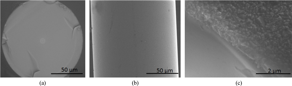 SEM micrographs of the film, where (a) shows cross section of fiber after diamond film deposition with magnification of x1,000, (b) shows diamond layer along fiber with magnification of x1,000, and (c) B-NCD film surface with magnification of x20,000.