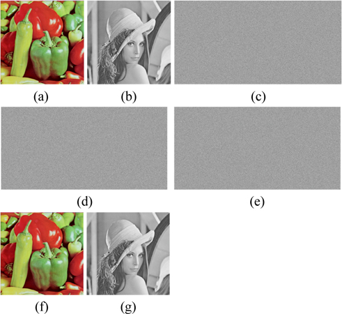 Results of the proposed image encryption. (a) The original color image “Peppers”; (b) the original grayscale image “Lena”; (c), (d), (e) interferograms I1, I2 and I3, respectively; (f) correctly decrypted color image; (g) correctly decrypted grayscale image.