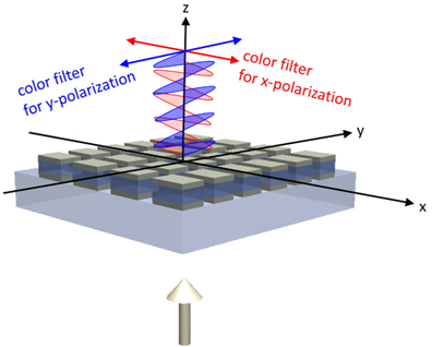 Functional description of proposed independent color filtering of differently polarized light.