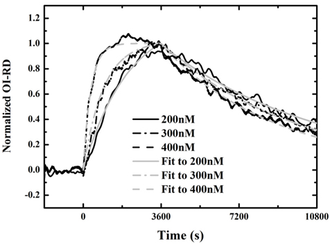 Binding curves from InlA reacting with antibody at 200 nM (black solid line), 300 nM (black dash-dot line), and 400 nM (black dashed line). Association took place in the first hour, and dissociation followed in the later two hours. The gray traces are fits to the binding curves using a one-site Langmuir-reaction kinetic model.