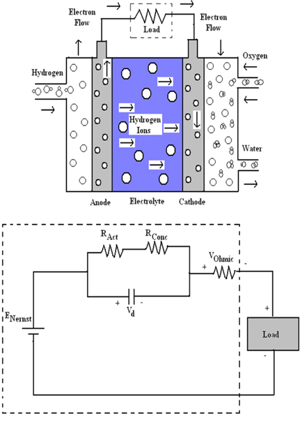 Schematic diagram and electrical circuit of PEM fuel cell.
