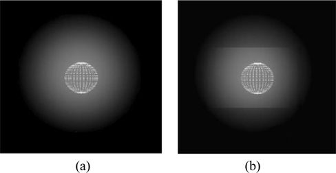 Reconstruction of the hologram: (a) first case, a = 9 mm and b = 14 mm; (b) second case, f2 = 10 mm, a = 4.2 mm, and b = 7.6 mm.