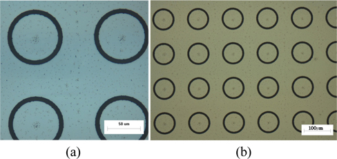 Microscope images of sample II (a) at scale 50 μm and (b) at scale 100 μm.
