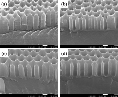 Cross-sectional FE-SEM images of the AAO template fabricated by a two-step anodization process with a pore-widening time of (a) 10 min, (b) 20 min, (c) 30 min, and (d) 40 min.