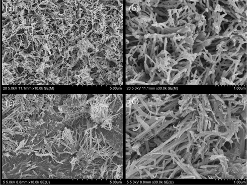 FE-SEM images of β-AgVO3 nanorods (a)(b) before heat treatment, and (c)(d) after heat treatment at 500℃.