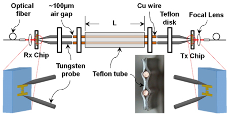 Experimental setup for straight Teflon covered two-wire lines. The photo shows a cross section of the Teflon covered two-wire lines.