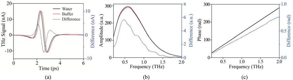(a) THz pulse signals of water and Tris-HCl buffer and the difference signal. (b), (c) THz amplitude and phase spectra of Tris-HCl buffer and water, and the difference spectrum (dashed blue).