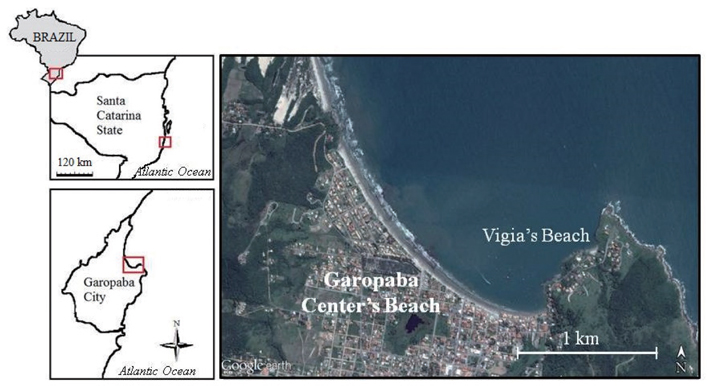 Study area indicating places of collection in Santa Catarina State, Brazil. Left and right images indicate location of Garopaba, SC, Brazil and details of Garopaba Center Beach and Vigia Beach, respectively (source: GoogleEarthⓒ).