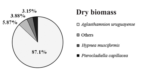 Percentage of total dry biomass found in the floating material of Garopaba Center Beach bloom during summer 2014.
