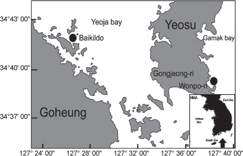 Map showing the studying area of Yeoja and Gamak bays in the southern coast of Korea.