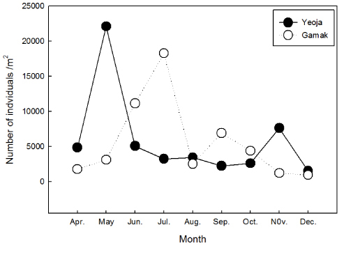 Variation in the number of zooplankton from Yeoja and Gamak bays between April and December, 2006.