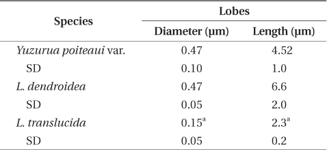 Morphometric analyses of Laurencia species CLs (n = 60)