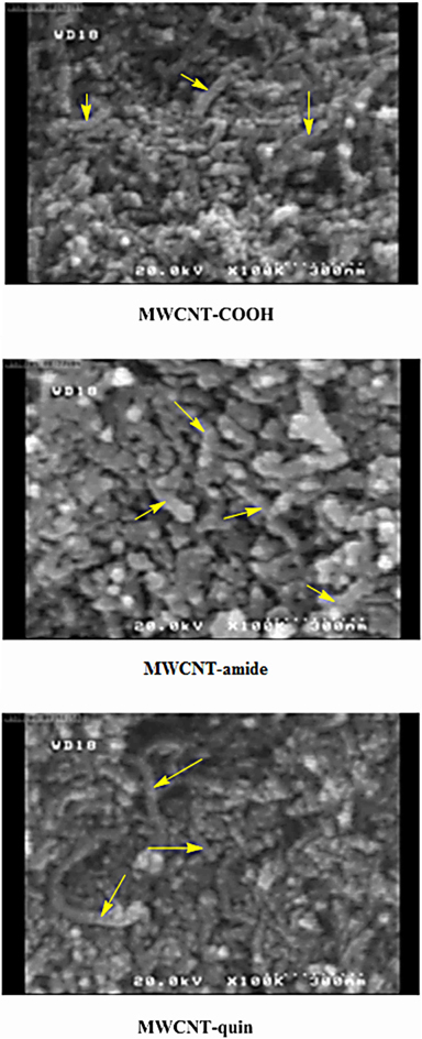 Field emission scanning electron microscopy images of modified multi-walled carbon nanotubes (MWCNTs). The yellow arrows show which carbon nanotubes are highly tangled and agglomerated.