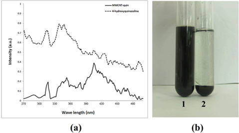 (a) Emission spectra (in dimethylformamide [DMF]) of multiwalled carbon nanotubes (MWCNT)-quin in comparison with 4-hydroxyquinazoline at a matching absorbance (320 nm). (b) Photographs of dispersions of (1) MWCNT-quin and (2) MWCNT-COOH in DMF (1 mg/7 mL) after standing for 6 months. The samples were sonicated for 10 min, and photographs were taken 6 month after putting bottles.