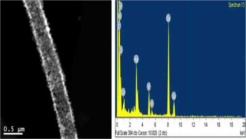 Transmission electron microscopy image of polyacrylonitrile (PAN)/Ag3VO4 composite nanofiber and field-emission scanning electron microscopy energy-dispersive X-ray spectroscopy of PAN/Ag3VO4 composite nanofiber.