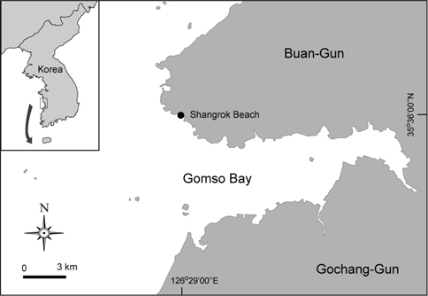 A map showing the sampling site at Shangrok Beach, Buan, Republic of Korea. Closed circle represent the site of mass bloom of Cladophora vadorum.