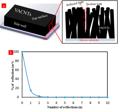 (a) Multiple reflections of incident light inside void space of vertically aligned carbon nanotubes (VACNTs). (b) Variation of final output light from the carbon nanotube forest after several internal reflections, as described in Fig. 1a.