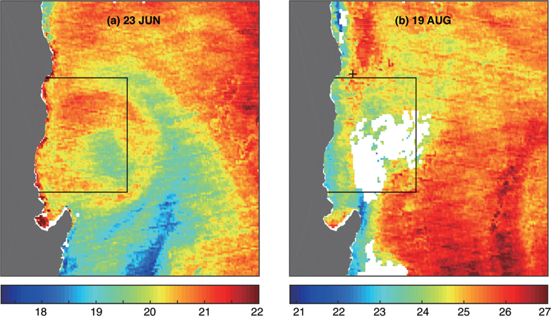 MODIS infrared imagery showing the sea surface temperature. Boxes depict the regions of CTD observation and a ‘+’ symbol marks the position of the ADCP observation in August.