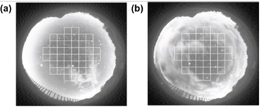 Forty-four grid images at 50˚ from the zenith for measuring cloud
cover. (a) effective image and (b) non-effective image (more than 12 grids).