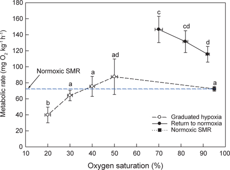 Variations in metabolic rate (MO2) of the olive flounder Paralichthys olivaceus exposed to stepwise hypoxic and normoxic water at 20℃. The MO2 was measured for 1 h and 30 min in ≥30% and 20% of oxygen saturation, respectively. The experiments were separately performed with 3 olive flounders (420.3±7.4 g in body weight). Each data point represents the mean±SD of MO2 and oxygen saturation. Different letters indicate significant differences(P<0.05) between oxygen saturation.