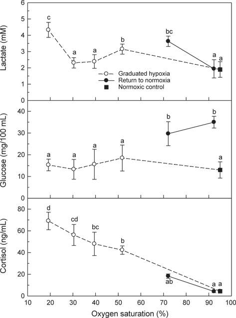 Changes in plasma lactate, glucose and cortisol of the olive flounder Paralichthys olivaceus exposed to stepwise hypoxic and normoxic water at 20℃. The blood was collected after exposure for 1 h and 30 min in ≥30% and 20% of oxygen saturation, respectively. Each data point represents the mean±SD of measurements (n=5). Different letters indicate P<0.05.
