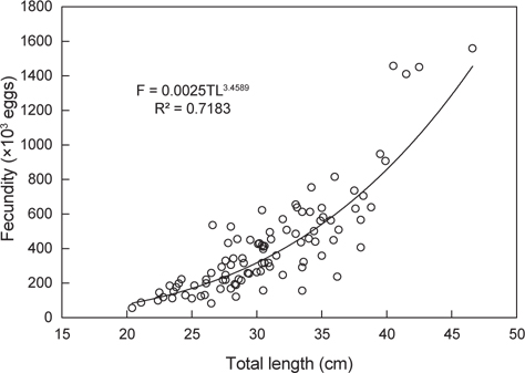 Relationship between total length and fecundity of marbled flounder Pseudopleuronectes yokohamae in the coast of Pohang, East Sea.