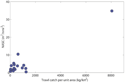 Relationship between trawl catch per unit area (kg2/km2) and NASC (m2/n？mile2) of demersal fish.