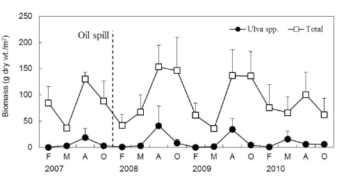 Vertical distribution of dominant seaweeds in average biomass (g dry wt./m2) at Hakampo, western coast of Korea during the study period.